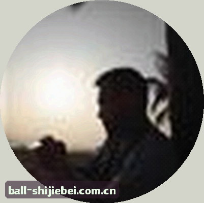赵刚